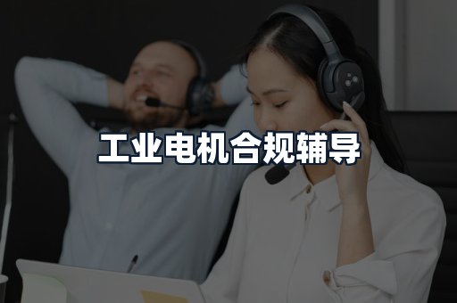 工业电机合规辅导