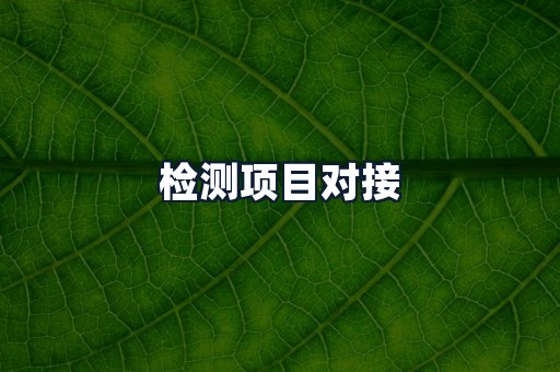 检测项目对接